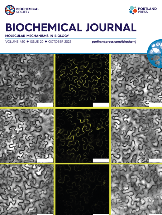 BioChemistry Journal – Bongartz 2023